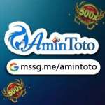 AMINTOTO Profile Picture