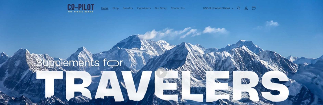Copilot The Travel Brand Cover Image
