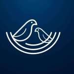 Nest Software Private Ltd Profile Picture