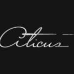 Aticus LLC Profile Picture