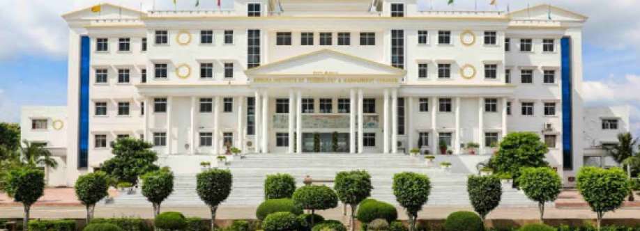 Ashoka Institute Cover Image