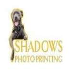 Shadows Photo Printing Profile Picture
