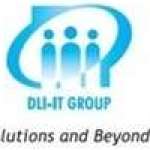 dliit group Profile Picture