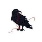 blackbirdknitting Profile Picture