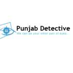 Punjab Detective Profile Picture