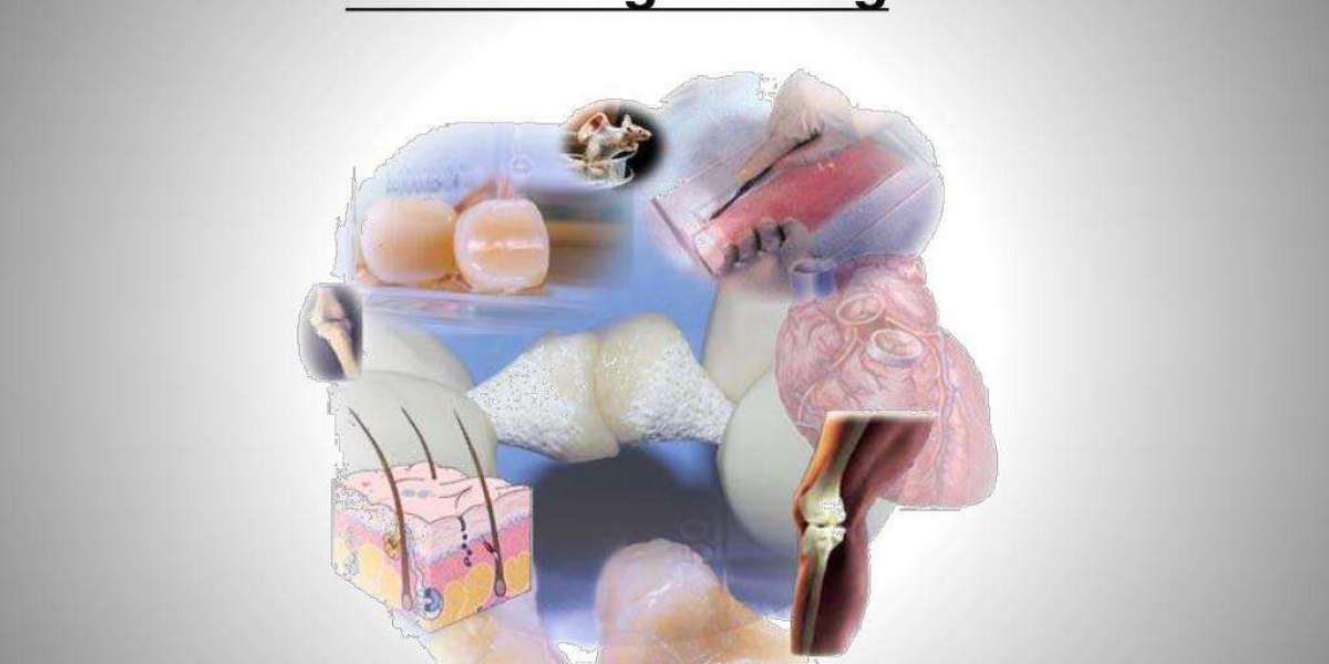 Article Picture