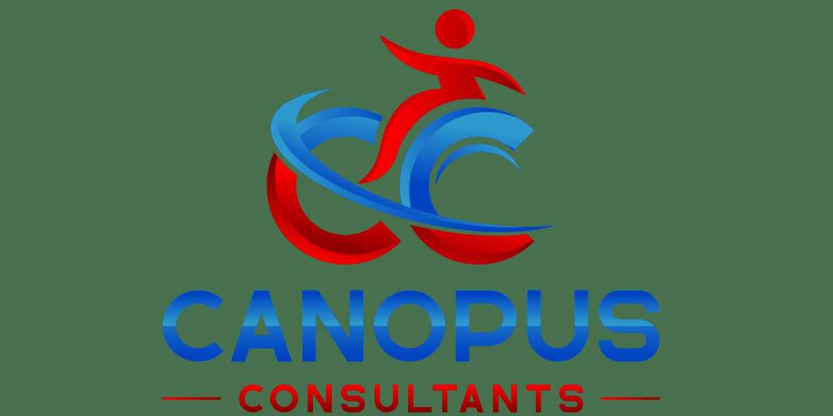 What Is an NDIS Consultant?