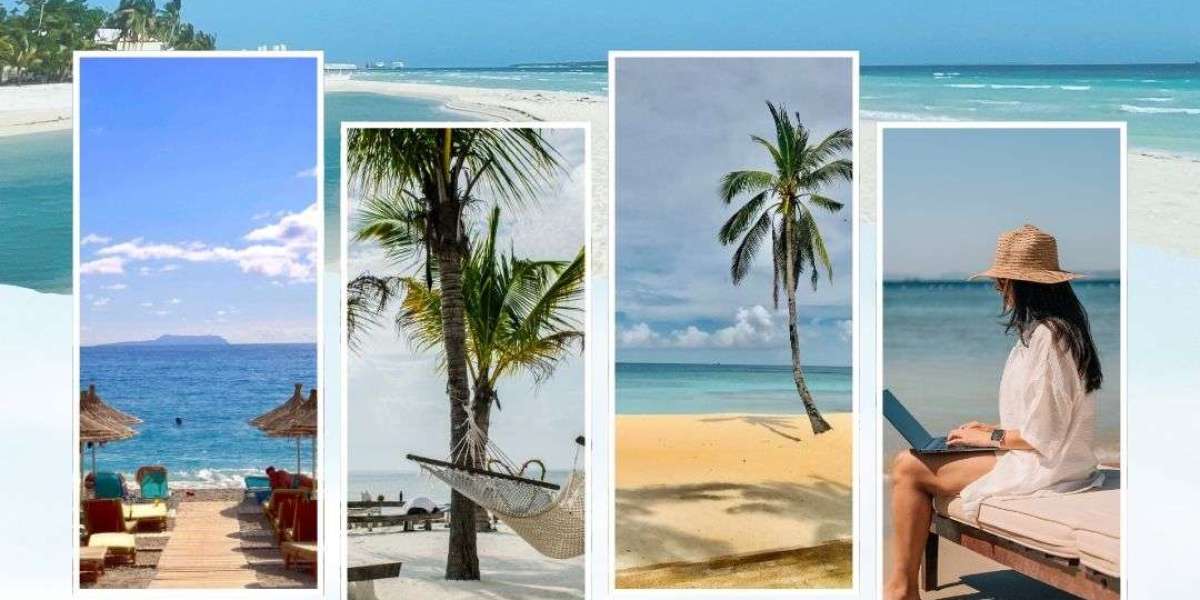 How Skyscanner Clones Are Disrupting the Travel Industry?