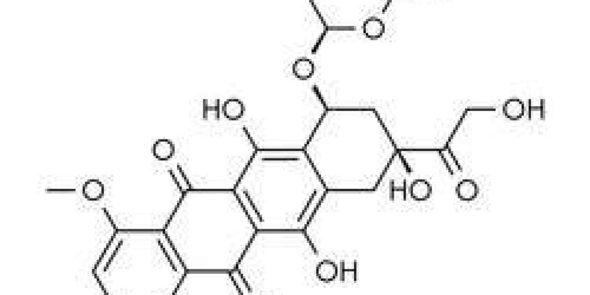 Doxorubicin Market Dynamics: Trends and Future Outlook