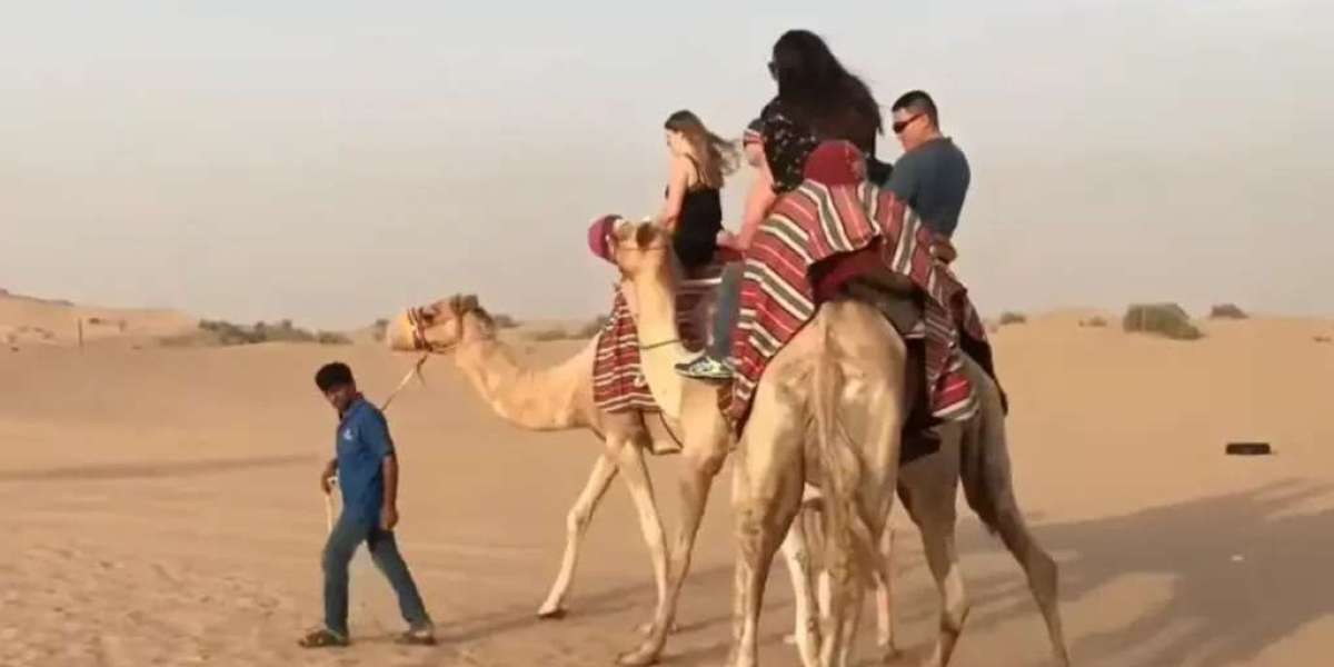 Luxury vs Budget – Which Dubai Desert Safari Should You Choose?