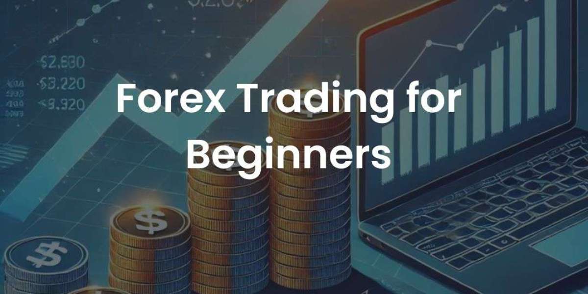 Forex Trading for Beginners: A Step-by-Step Introduction to the Currency Market