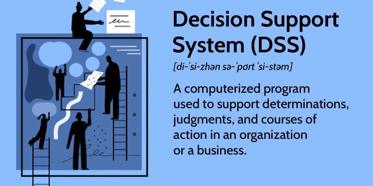 Insights into Decision Support System Software Market