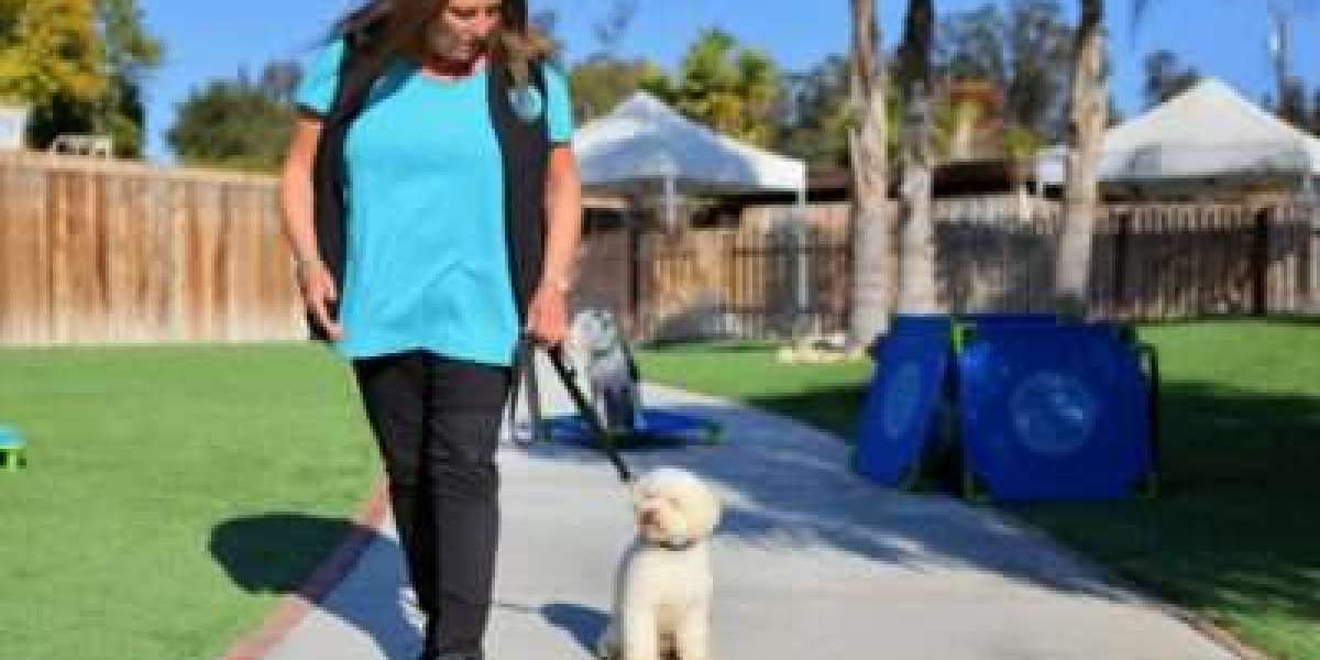 Tethering: The Unsung Hero of Dog Training