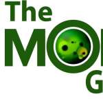 The Mold Guys Profile Picture