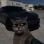 almtehs Profile Picture