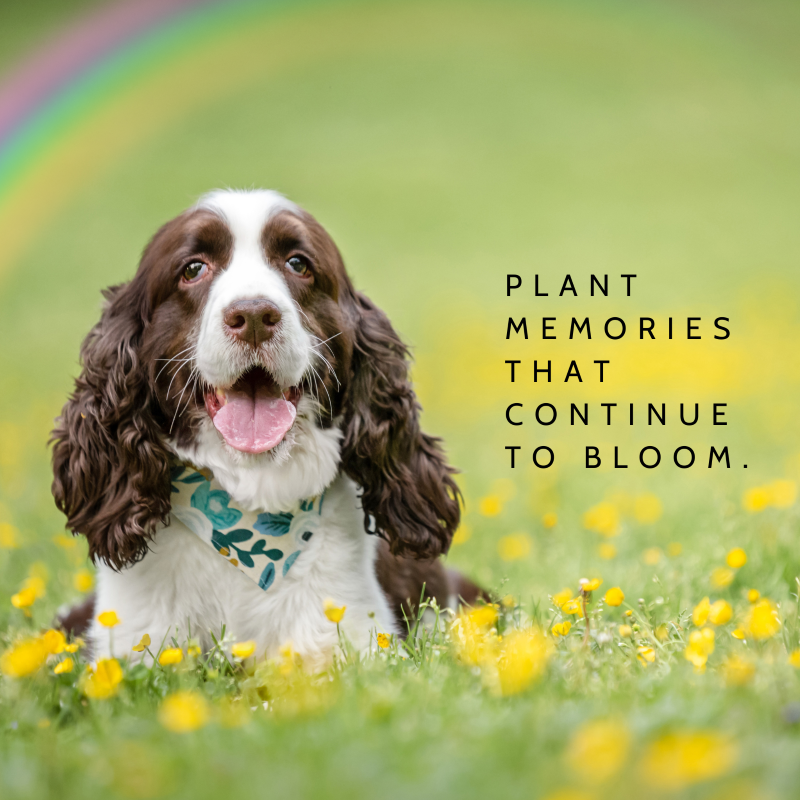 A New Look, a Renewed Mission, and the Same Compassionate Purpose