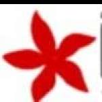 Ixora International Profile Picture