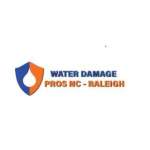 the Water Damage Pros Raleigh nc Profile Picture