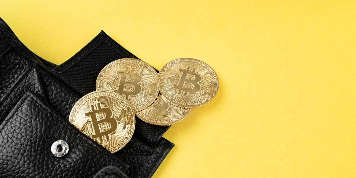 Securing Your Digital Assets in 2025 with the Best Crypto Cold Wallet