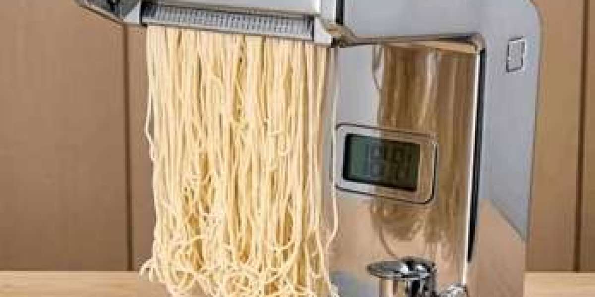 Important Factors to Consider for Your Pasta Maker Factory