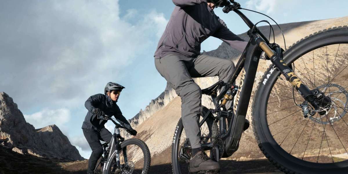 The Comprehensive Handbook to Electric MTBs: Energize Your Adventure