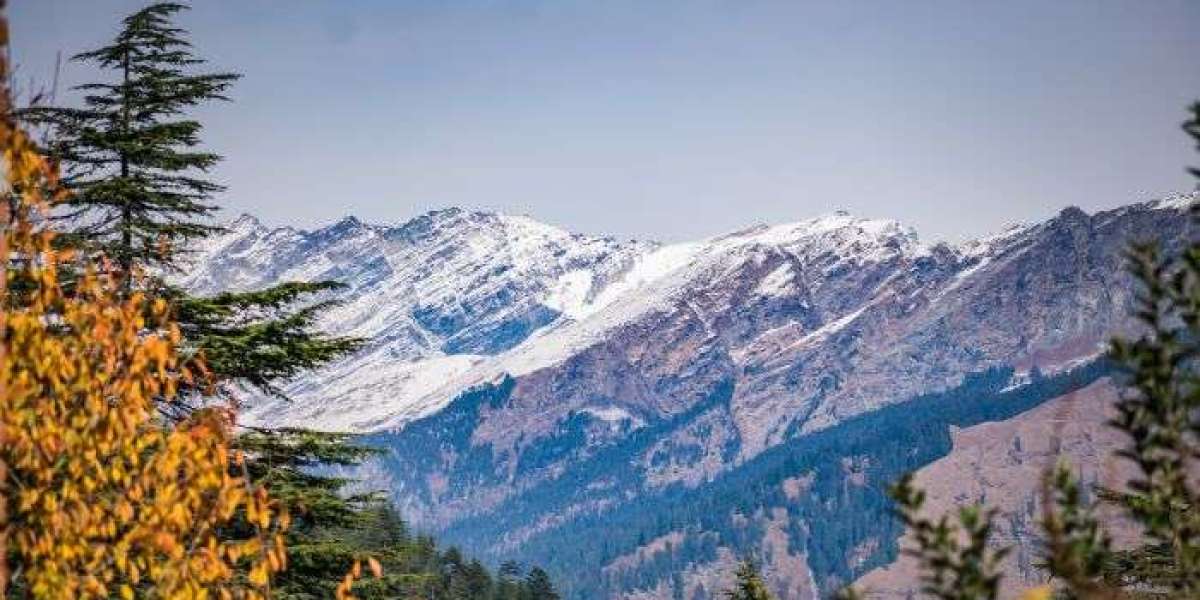 Mastering Group Trekking in the Himalayas – Complete Planning Guide by Himalaya Shelter