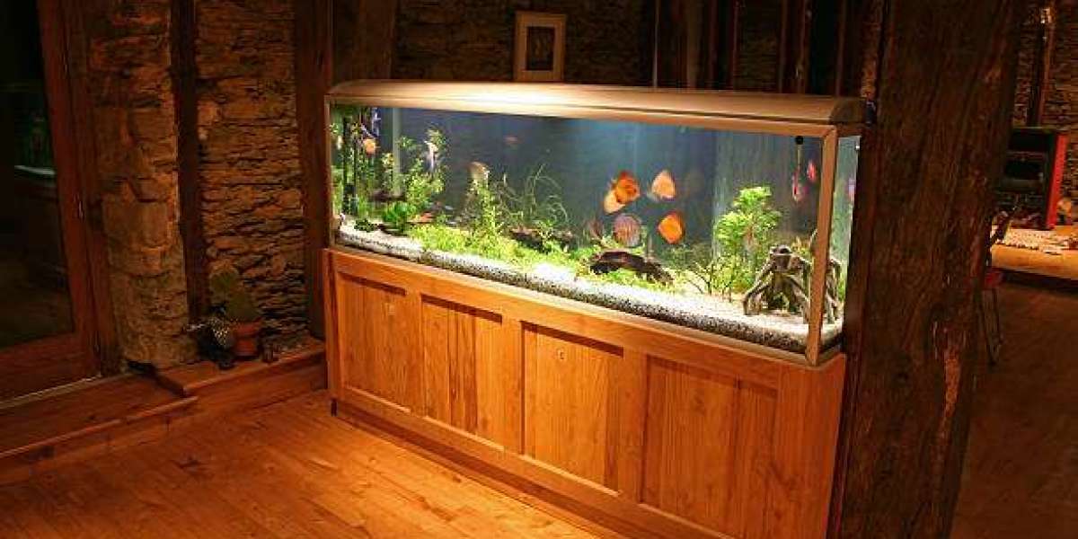 Technology and Style in Today’s Aquarium Accessories
