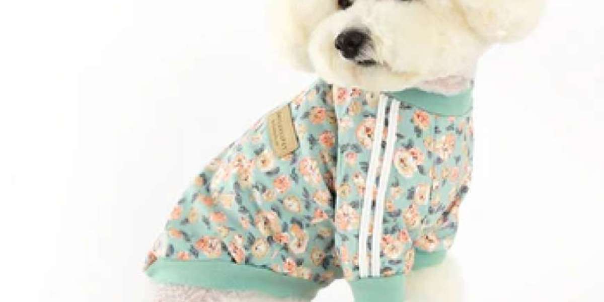 Pet Clothing 2025: Style, Safety and Comfort Combined