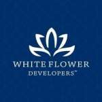 White Flower Developers Profile Picture
