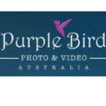Purple Bird Photo Profile Picture