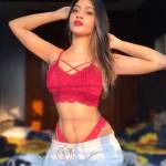 Chandigarh Escorts service Profile Picture