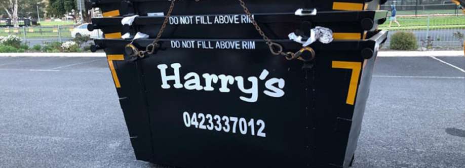 Harry Bins Cover Image