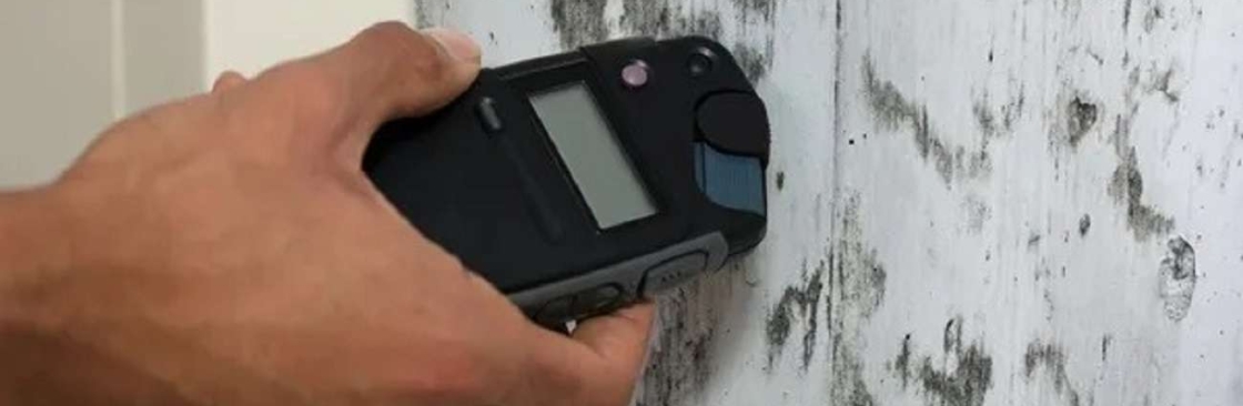 Mould Doctors Cover Image