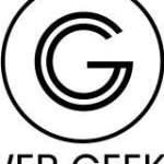 webgeekson profile picture