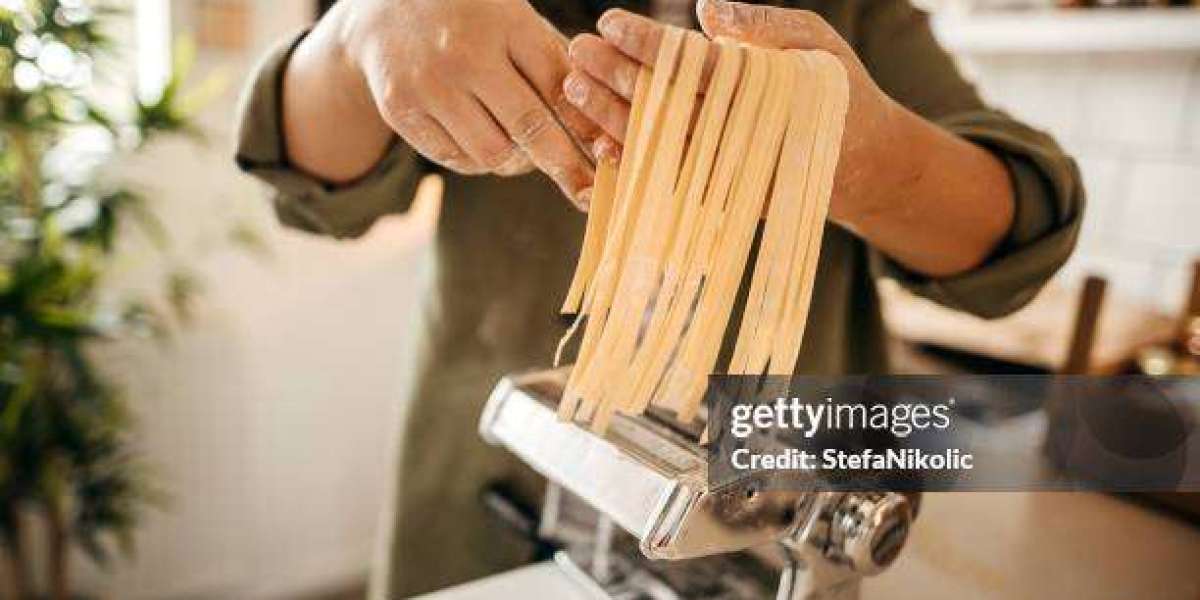 Haiou Electric Pasta Machine Manufacturers: Master Pasta with Ease