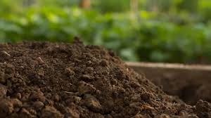 Elevating Landscapes with Screened Loam Essentials | South East Landscape Supply