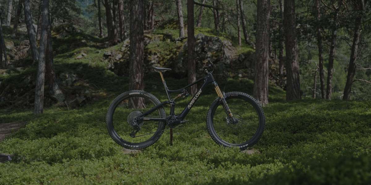 Bicicletas eléctricas de montaña: pedalea más lejos, disfruta más