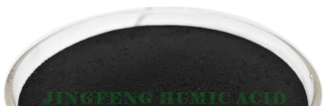JINGFENG HUMIC ACID Cover Image