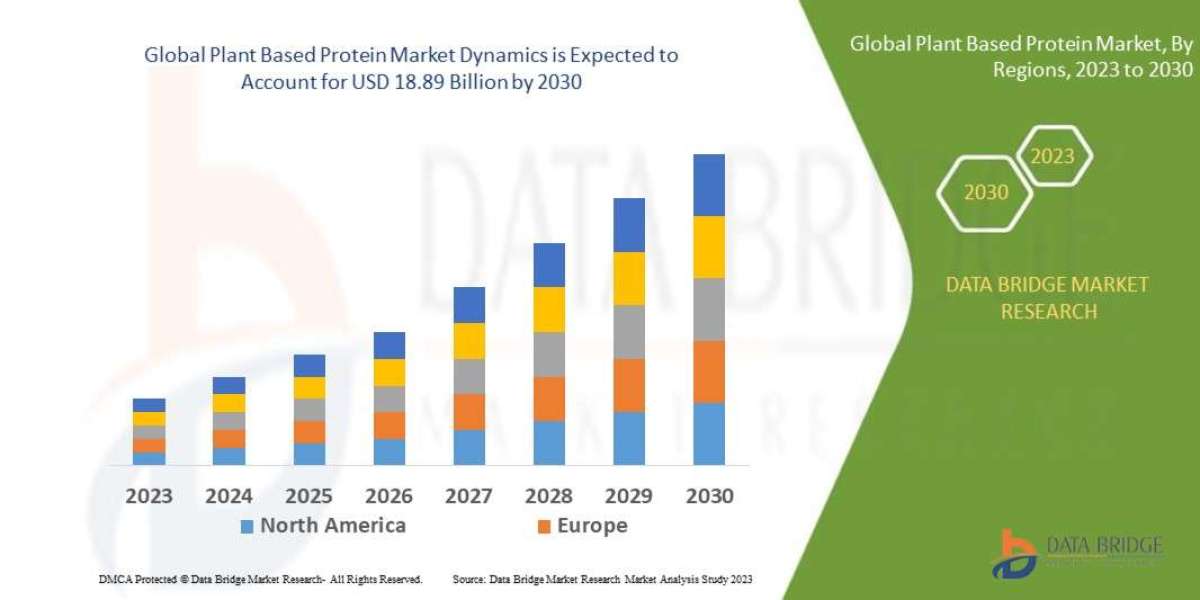 Plant Based Protein Market Size, Share, Key Growth Drivers, Trends, Challenges and Competitive Landscape