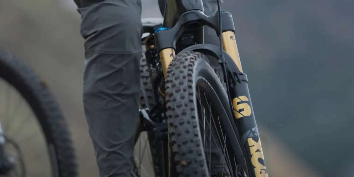 Why eMTBs Are Powering the Growth of Electric Mountain Bikes in Australia