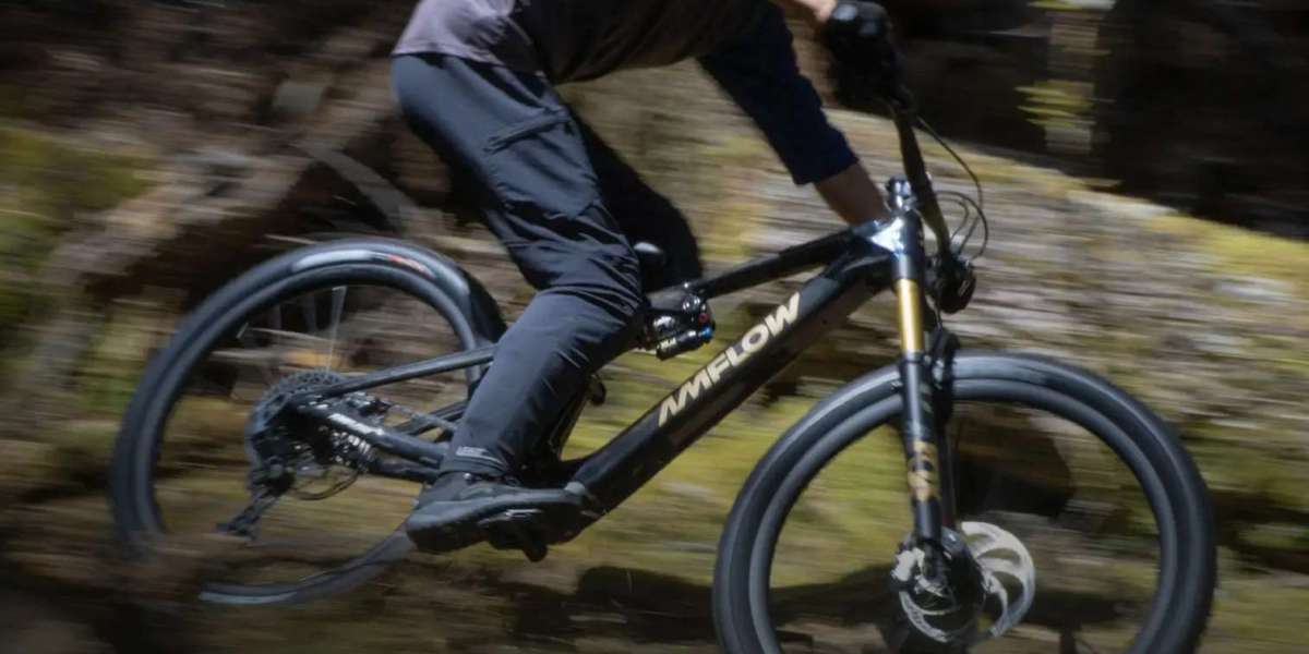 VTT électrique haute performance : repousser les limites du tout-terrain