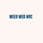 Weed Web NYC Profile Picture