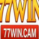 77WIN CAM Profile Picture