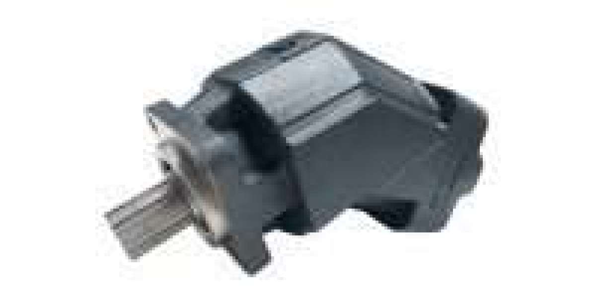 Hydraulic Cylinder Seals: The Hidden Guardians of Your Hydraulic Systems