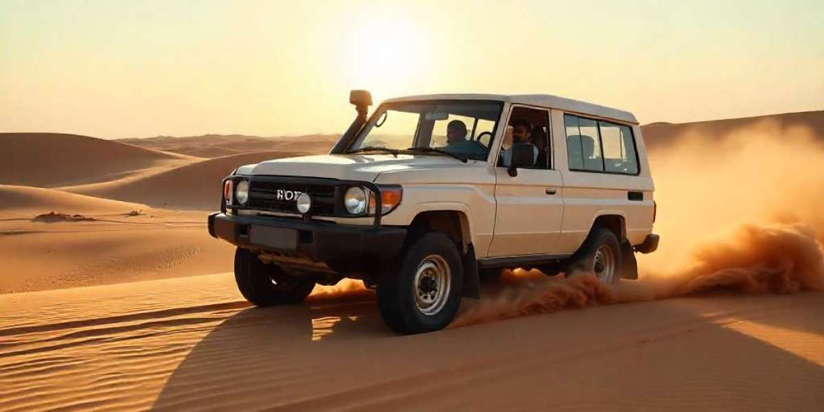 Discover Abu Dhabi with the Best Tour Company in Abu Dhabi