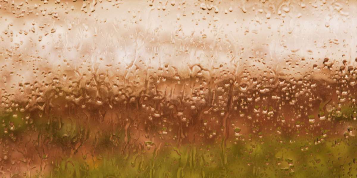 Exploring the Landscape of Sugar Daddy Sites In Ohio: A Case Study