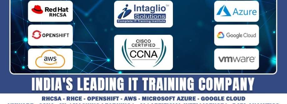 intagliosolutions Cover Image