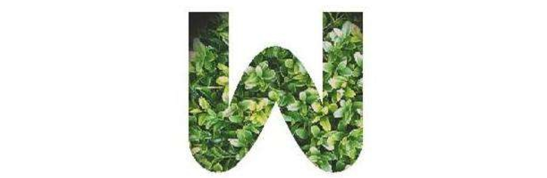 Well Live Florist Cover Image