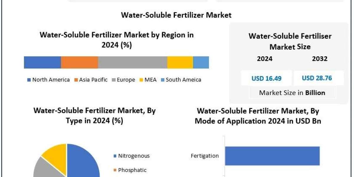 Water Soluble Fertilizer Market Future Scope and Competitive Landscape Forecast 2025 – 2032