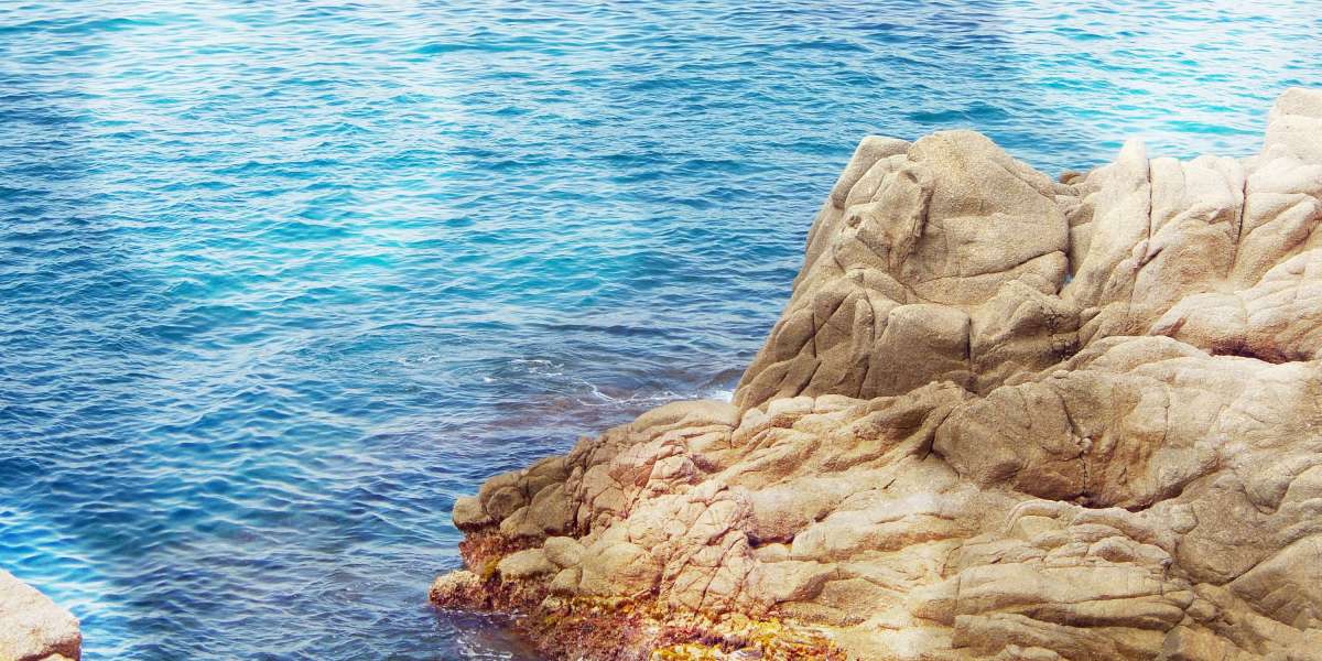 Corporate Jets for Sale: A Rising Development In Enterprise Aviation